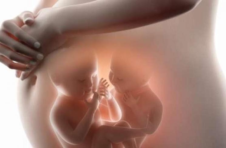 Ilustrasi hamil bayi kembar - (Shutterstock)
