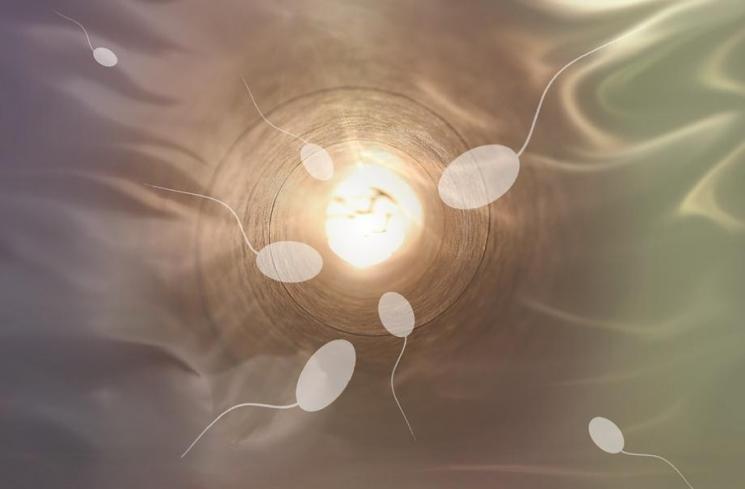 <p>Pengaruh radiasi ponsel terhadap kualitas dan jumlah sperma pria (Pixabay/sciencefreak)</p>