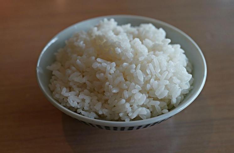 Makan nasi justru tidak menyebabkan obesitas (Pixabay/SpencerWing)